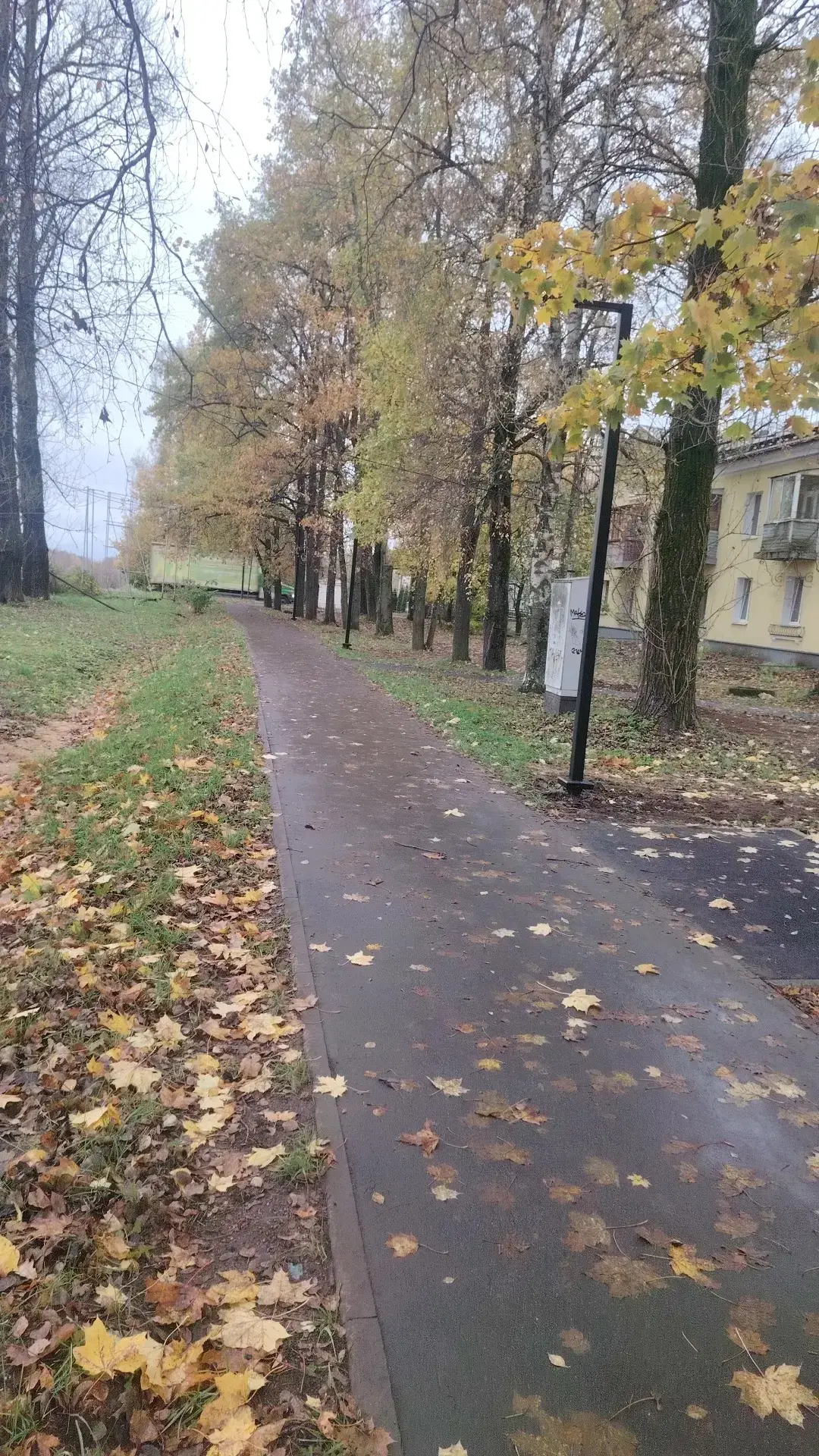💡Столбы освещения вдоль пешеходной дорожки от ул.Рядового Леонида Иванова до ул. Желез...
