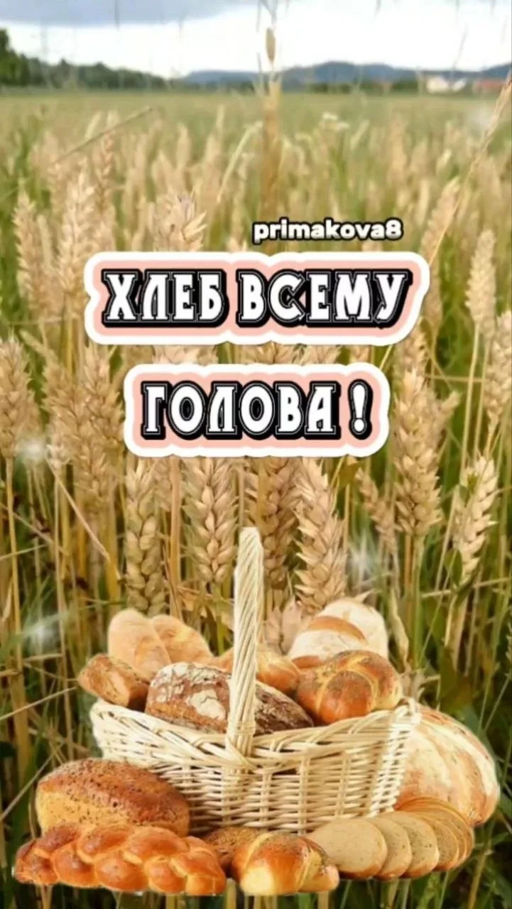 Вам открытка 💙 max | telegram
