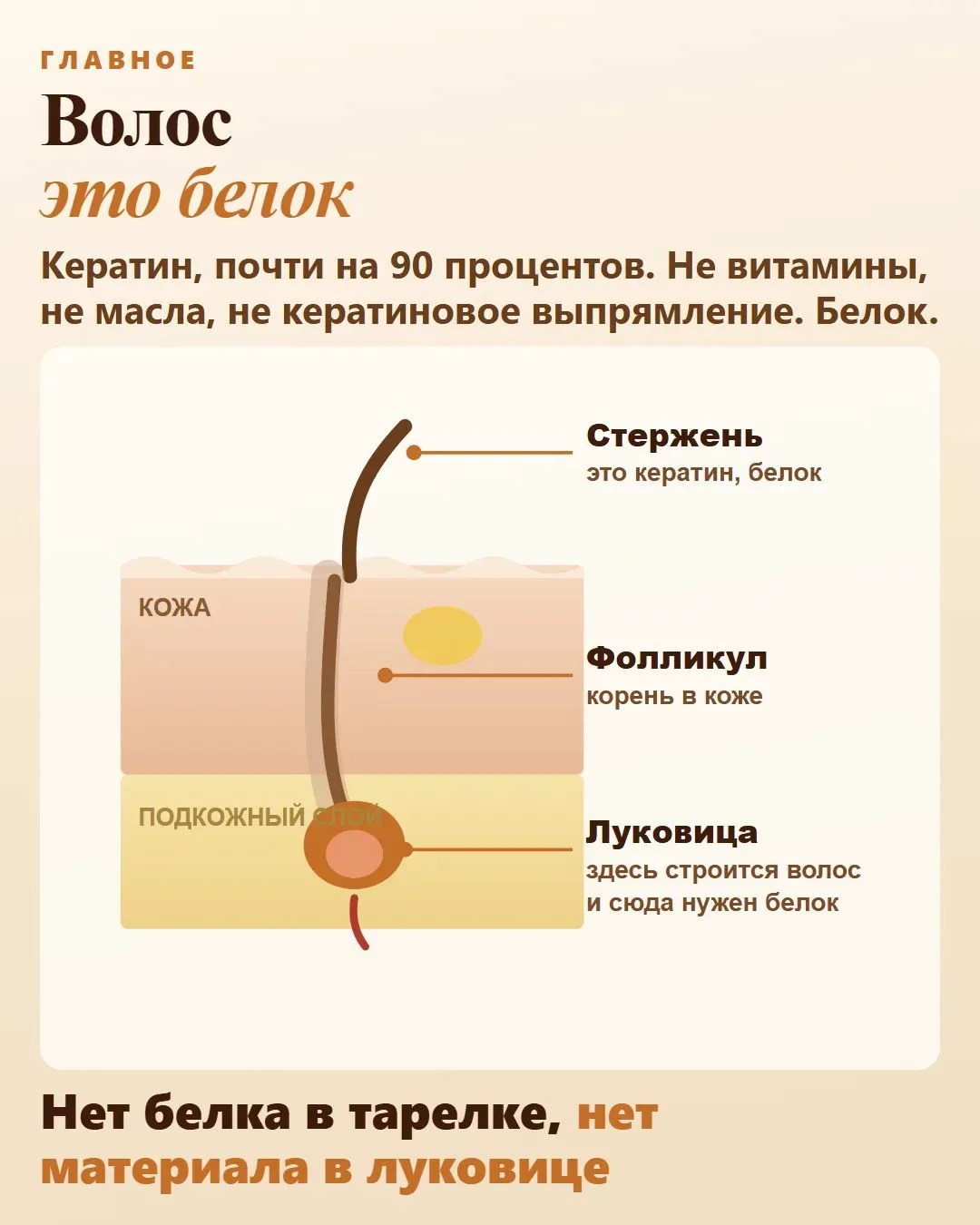 Рассказываю, что на самом деле происходит внутри.