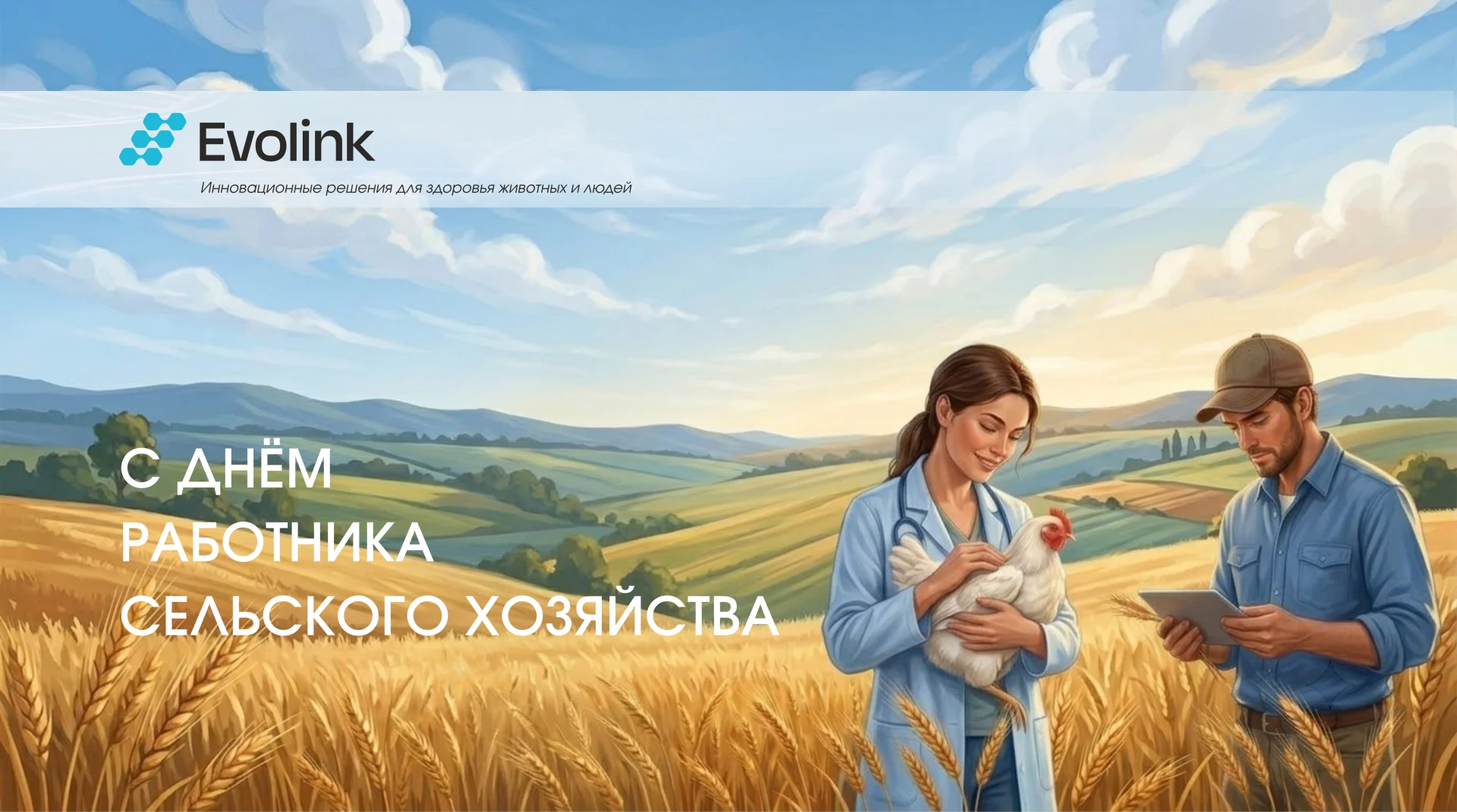 Дорогие друзья!