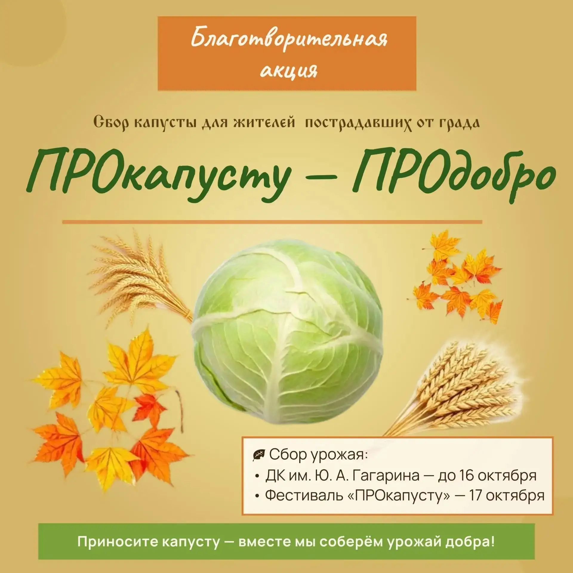 «ПРОкапусту — ПРОдобро»: СОБЕРЁМ УРОЖАЙ ДОБРА ВМЕСТЕ! 🥬❤️