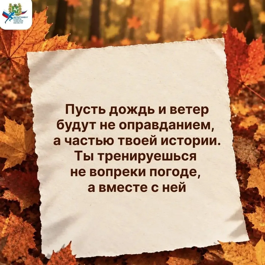 🍁Осень — не повод убирать кроссовки в шкаф. Это время, когда каждый шаг шуршит золотой...