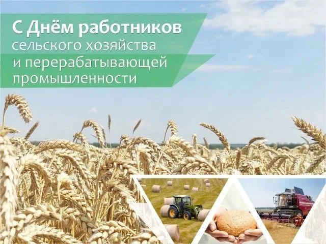 Уважаемые труженики сельского хозяйства и перерабатывающей промышленности, ветераны агр...
