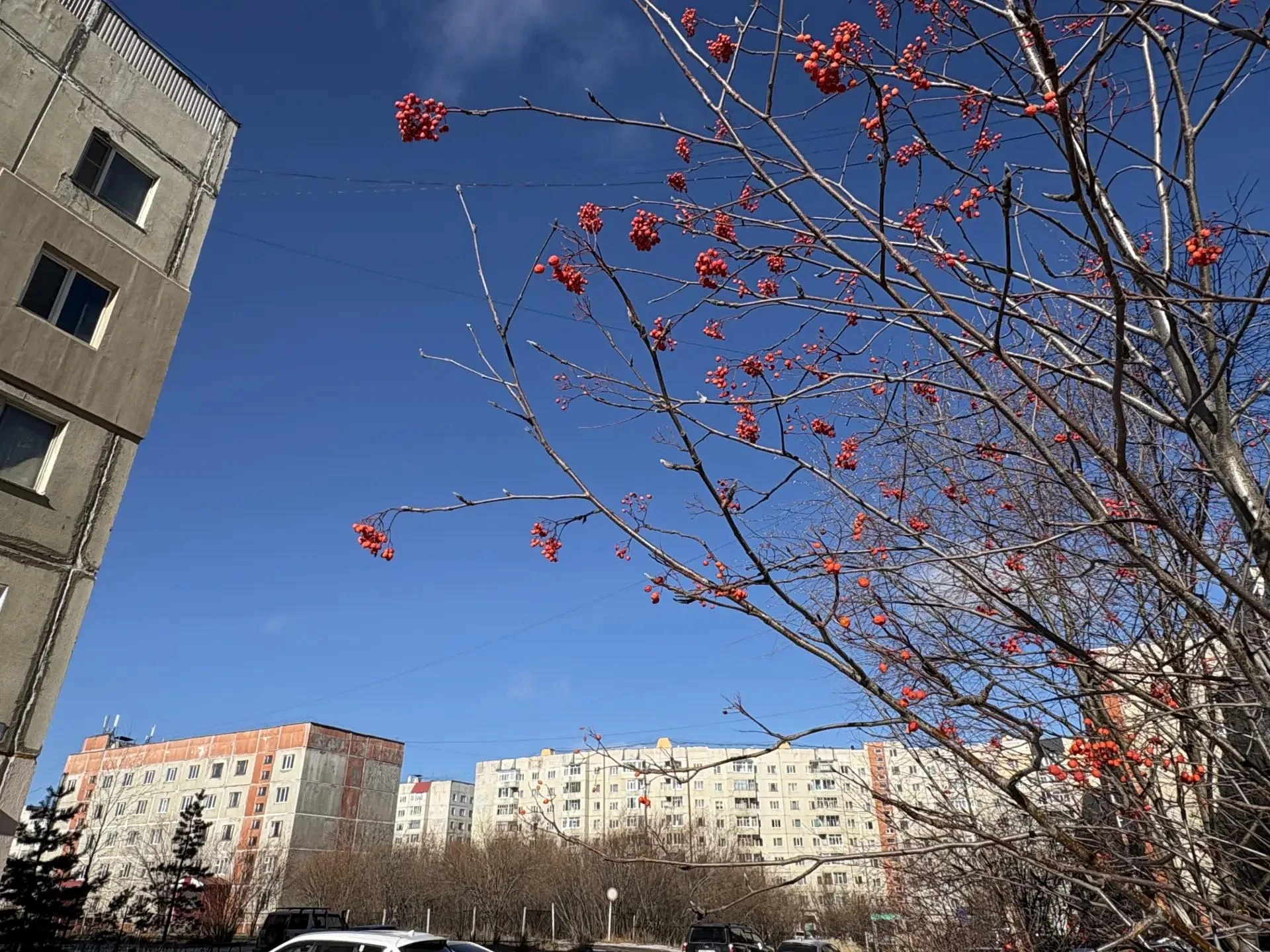 🌅 Доброе утро, подписчики "Индустрии Севера"!
