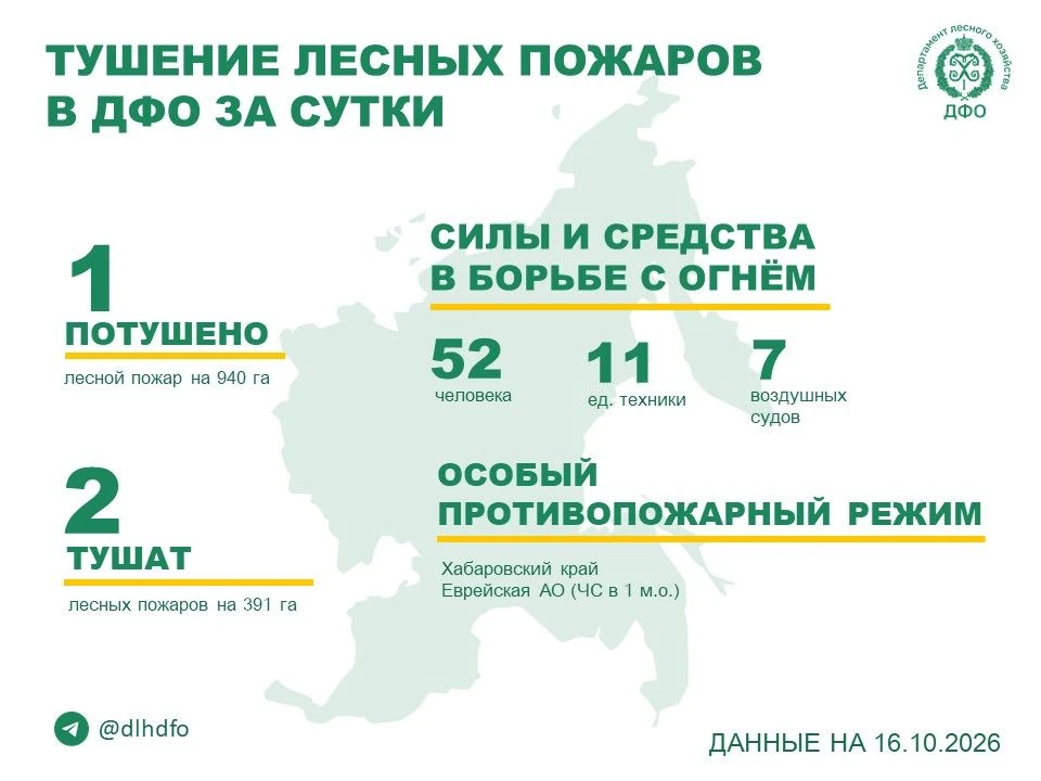 🚒 За прошедшие сутки в регионах ДФО потушен 1 лесной пожар, продолжается тушение 2 лес...