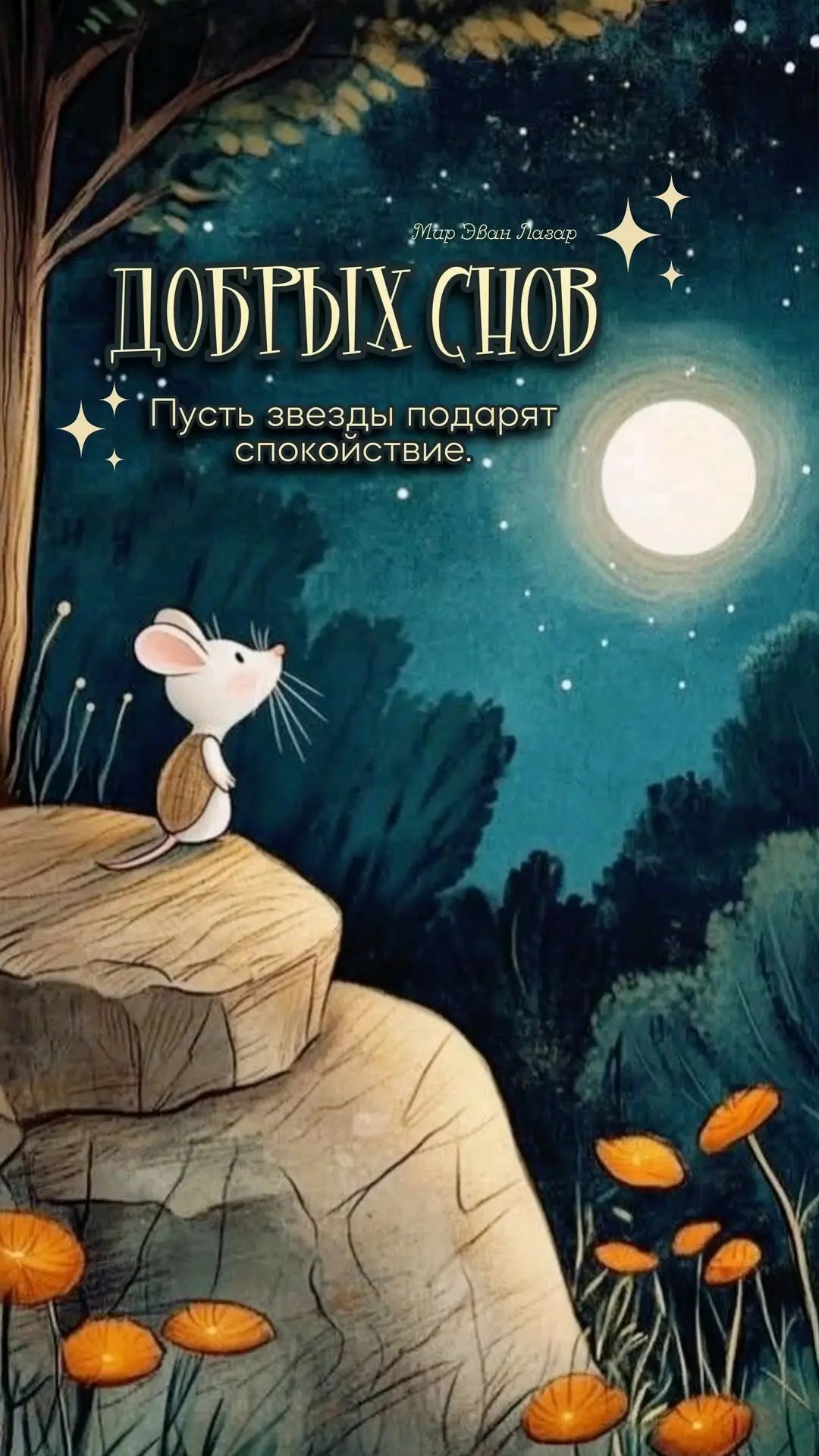 #спокойнойночи