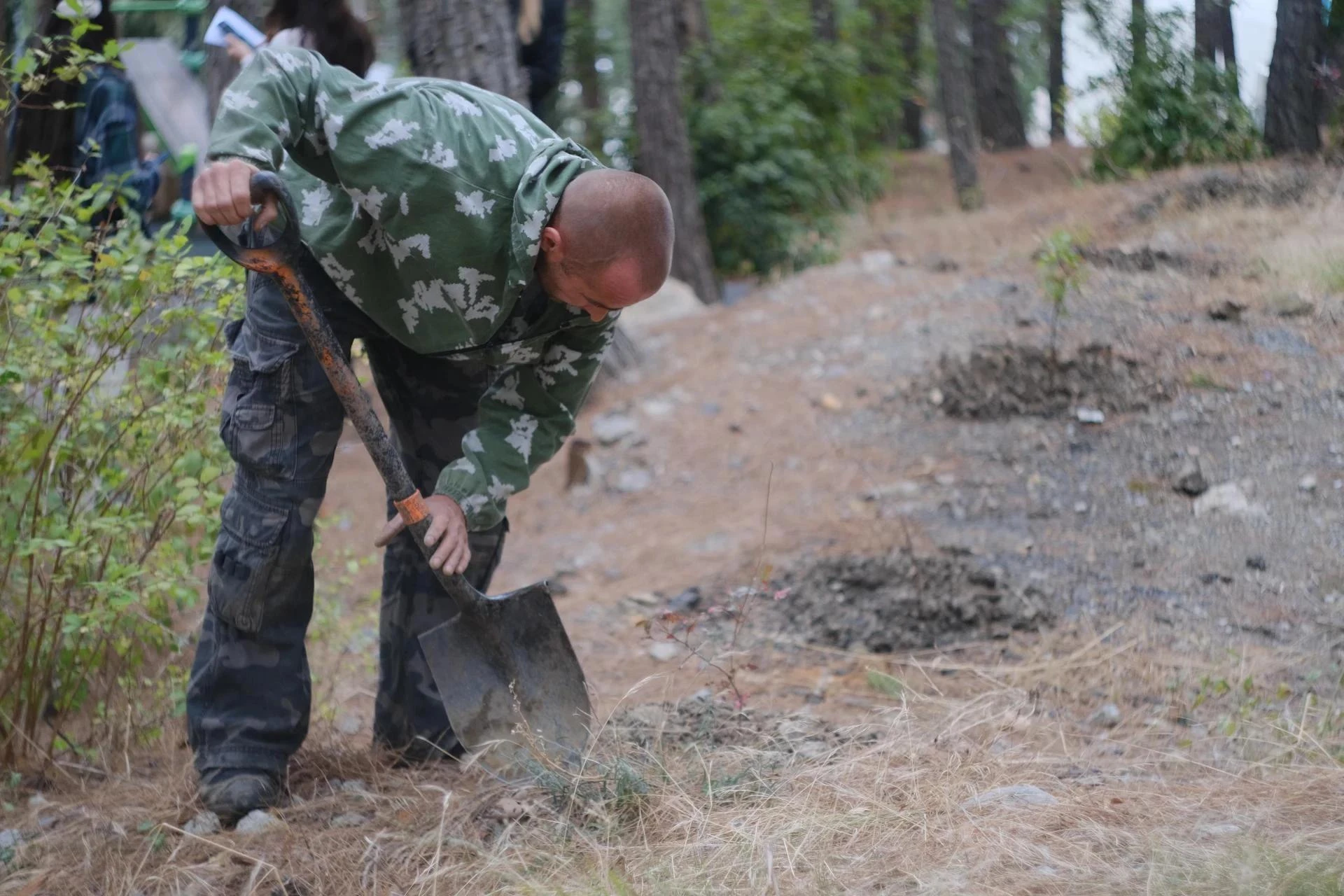🌿 В Ялте высаживают краснокнижные растения