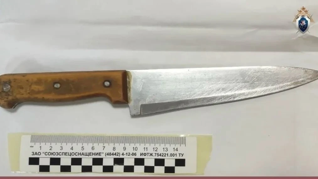 🔪 Жительница деревни Афонино получила 7,5 лет за убийство сожителя
