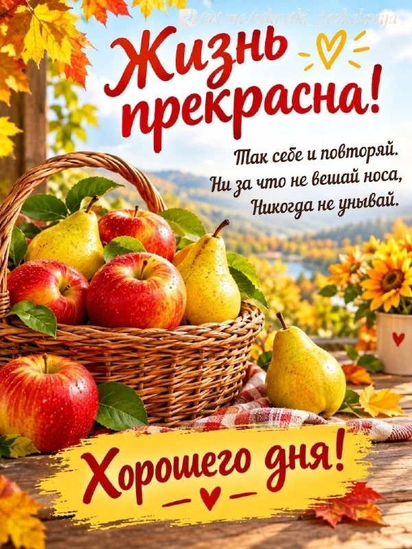 Открытки: подписаться ❤️