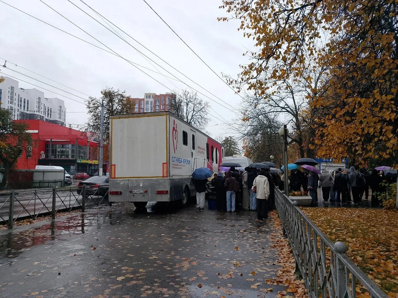 Донорство стало на Брянщине полновесным трендом - свидетельствуют #репортерыБиБ. Посмот...