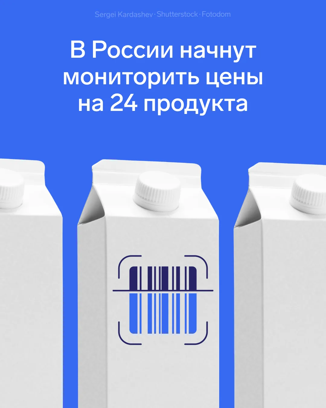 С 1 января 2027 года в России начнут мониторить цены на 24 продукта