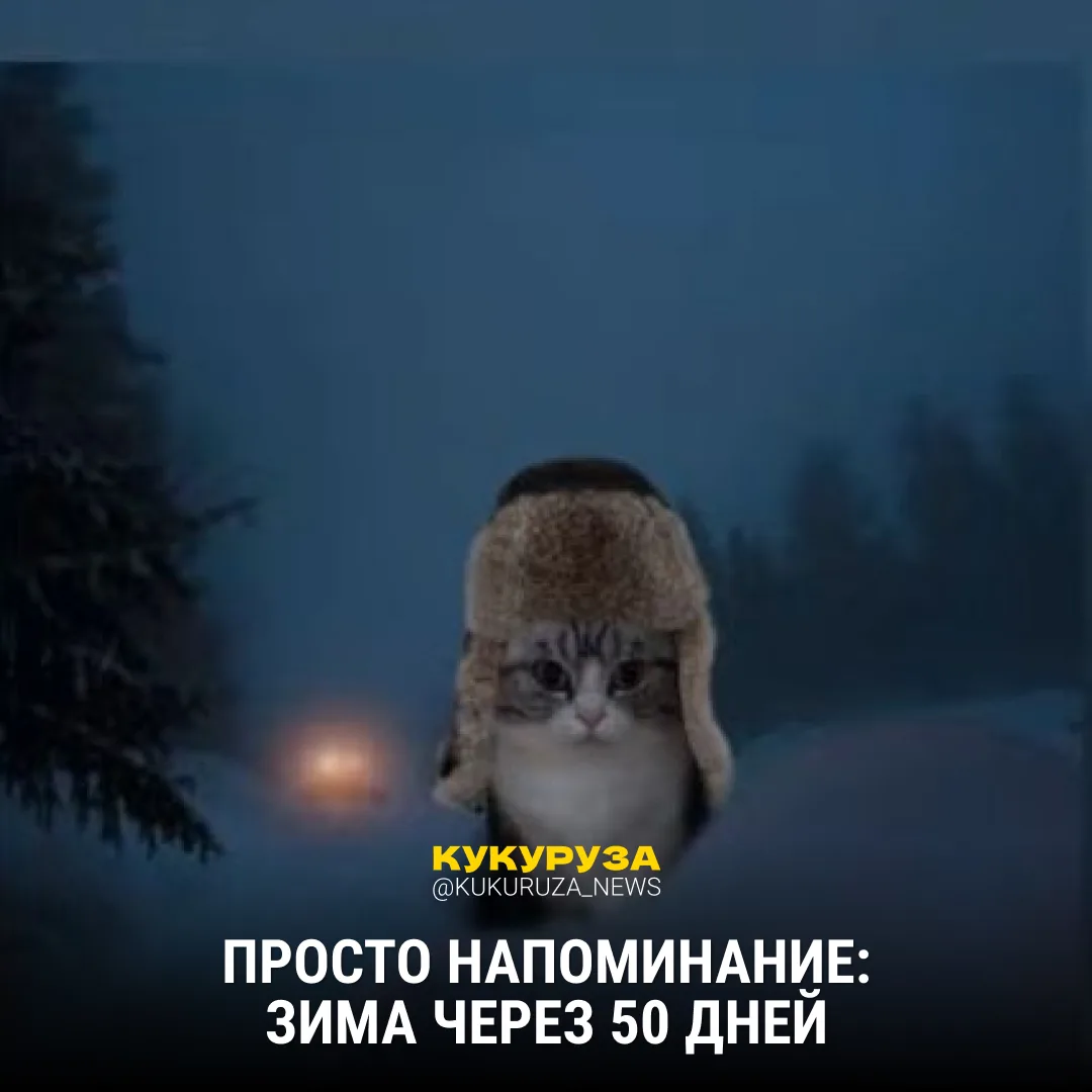 Ровно 50 дней до зимы...