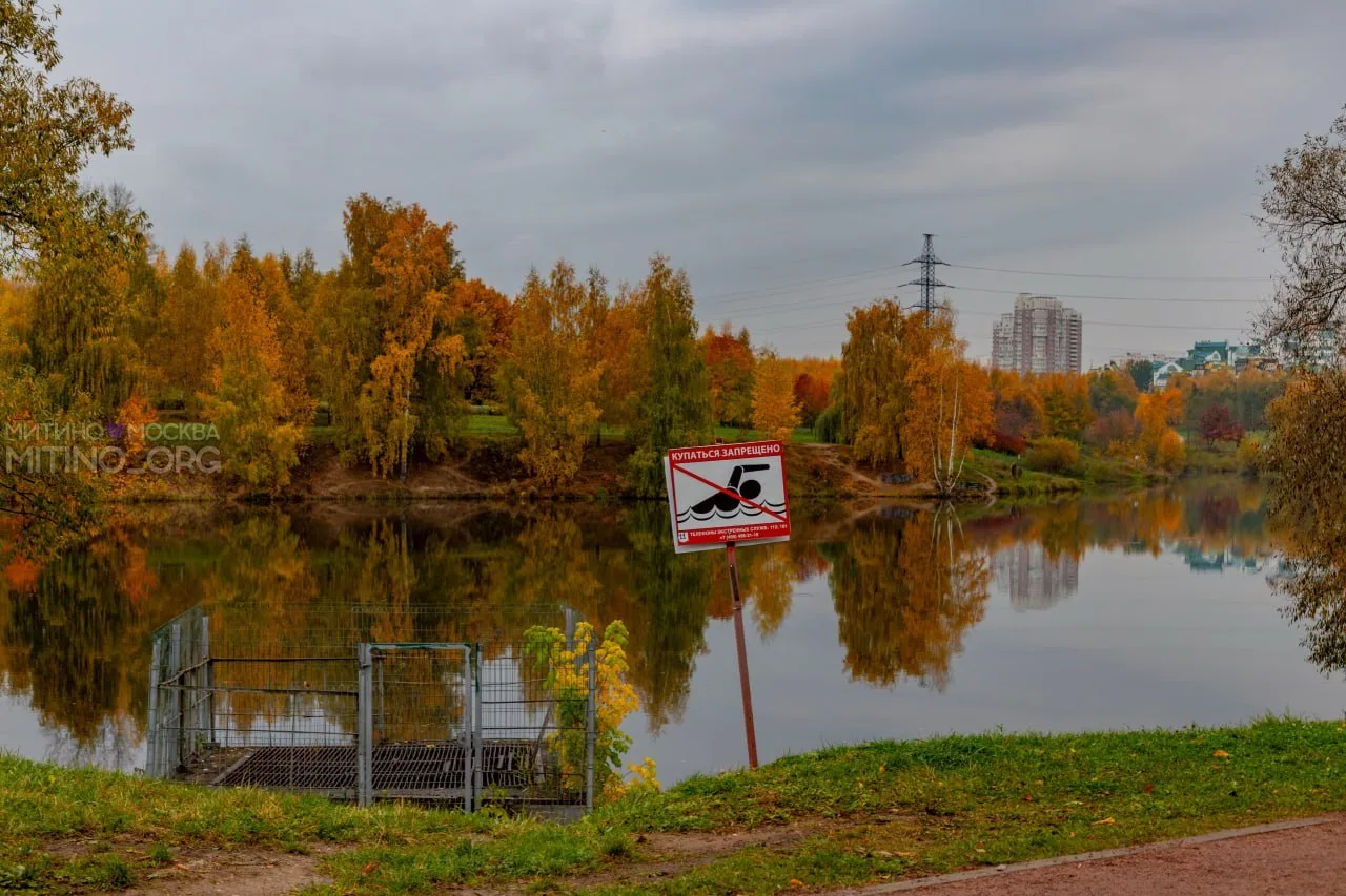 🍁Осеннее "зеркало" Митинского парка