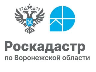 Региональный Роскадастр организует горячую линию по вопросам обращений граждан