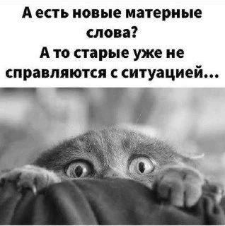 🎃 Весело у нас 🧨