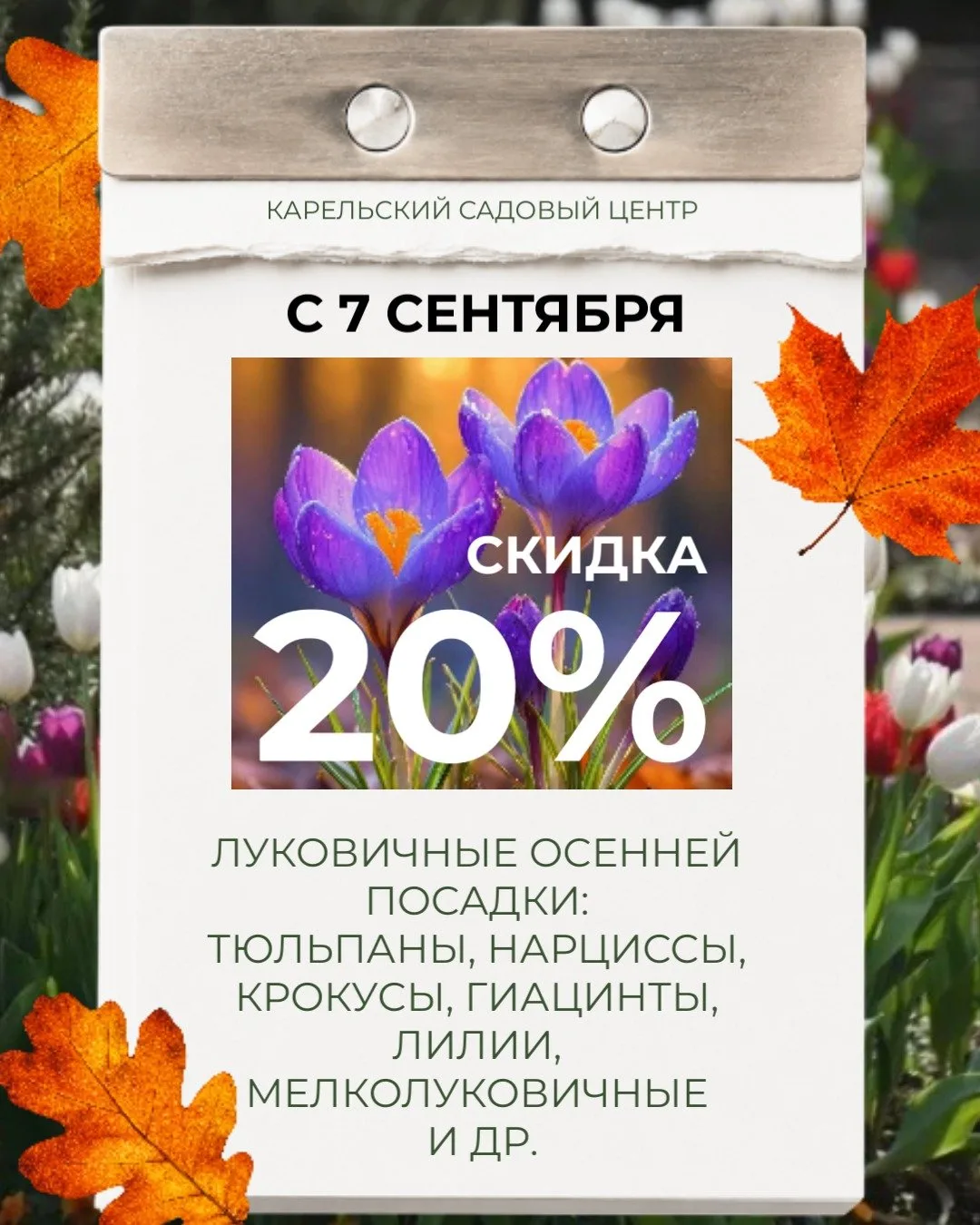 🔥 СКИДКА 20% НА ЛУКОВИЦЫ И КОРНИ ЦВЕТОВ ОСЕННЕЙ ПОСАДКИ!