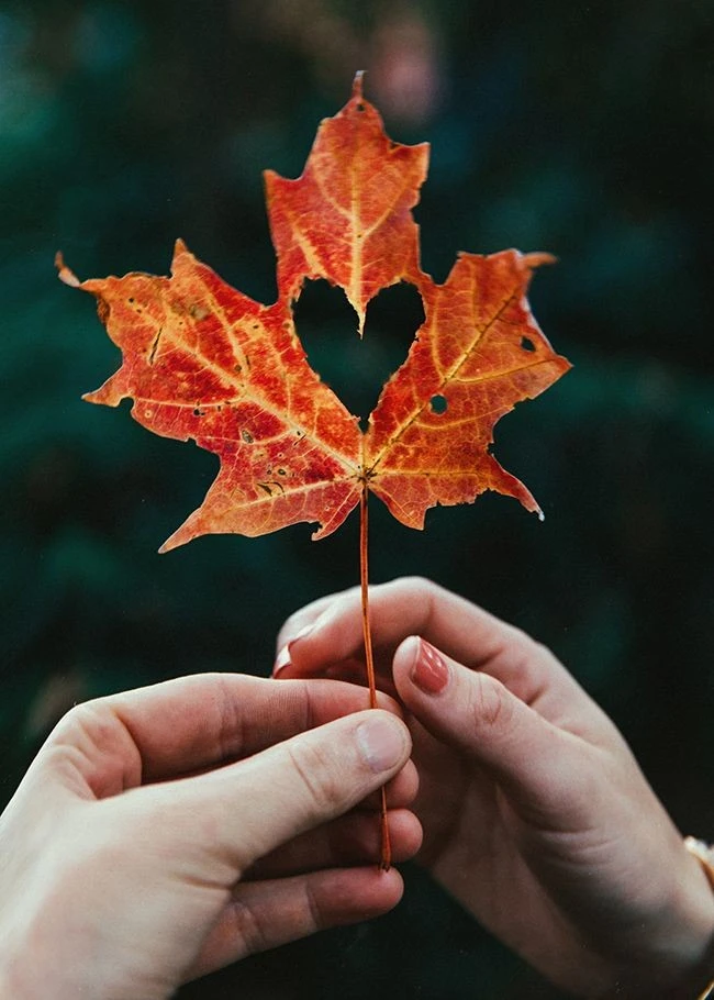 🍁 Если бы изделие, которое сейчас шьёте, было осенним напитком, что бы это было? 🍂