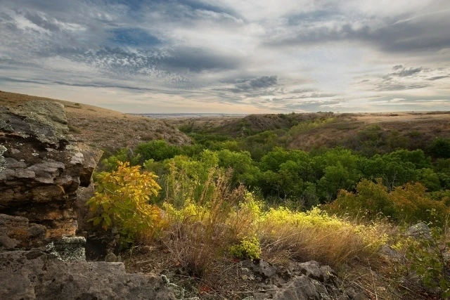 Яркая осень