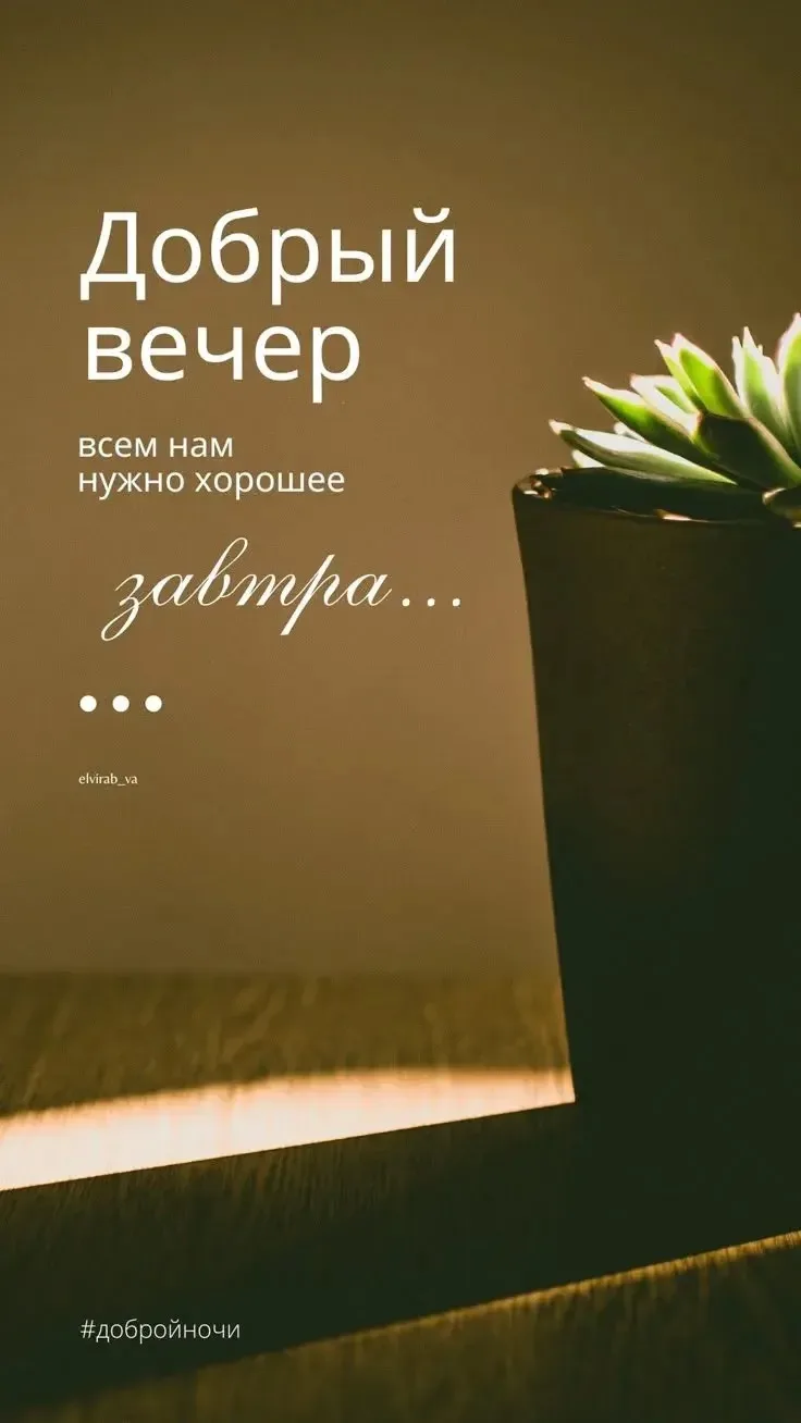 🌙 Девочки, желаю всем доброй и спокойной ночи! ❤️