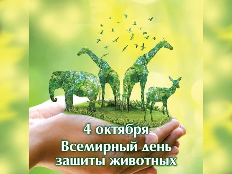 4 октября — Всемирный день защиты животных!