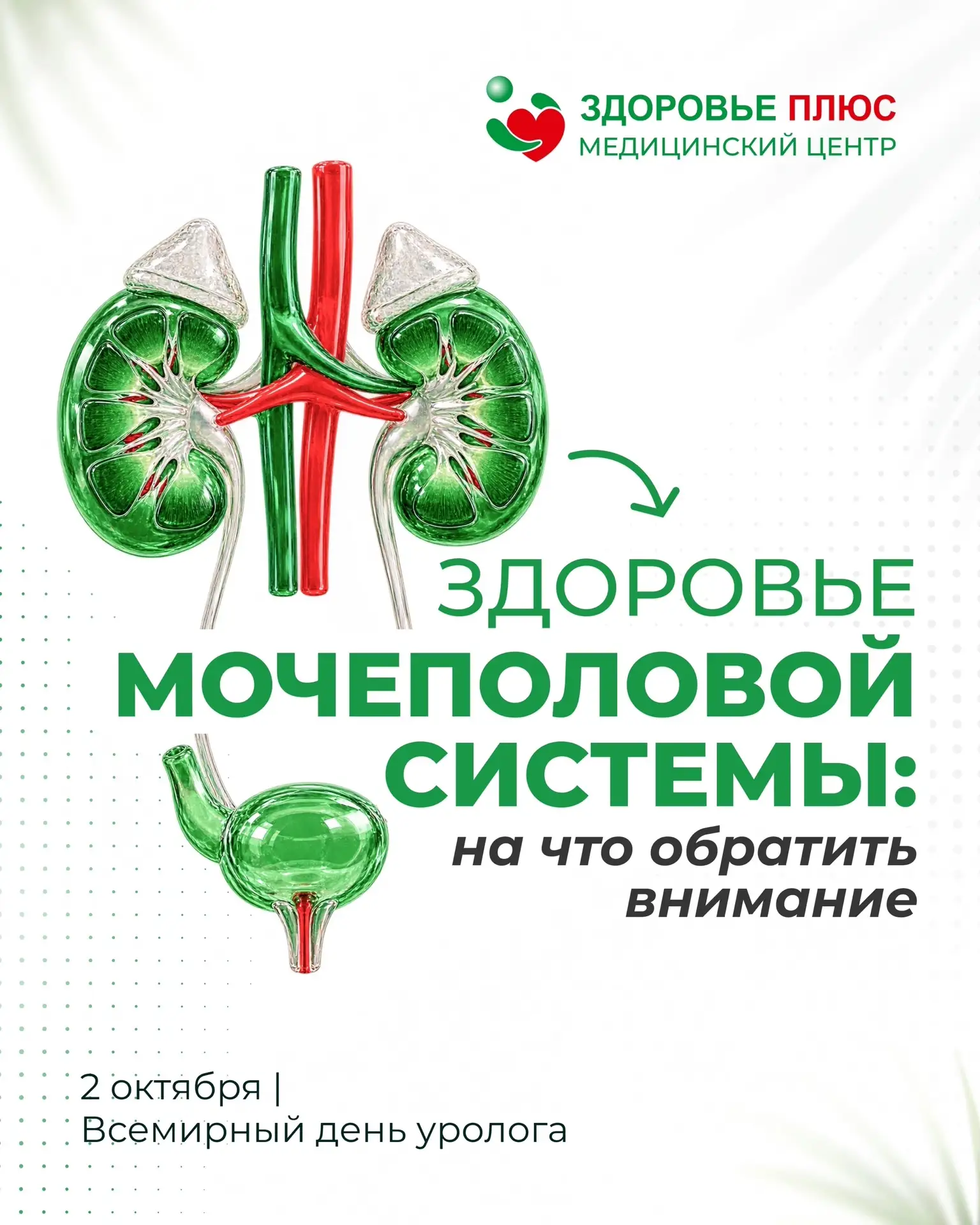 🩺 2 октября | Всемирный день уролога