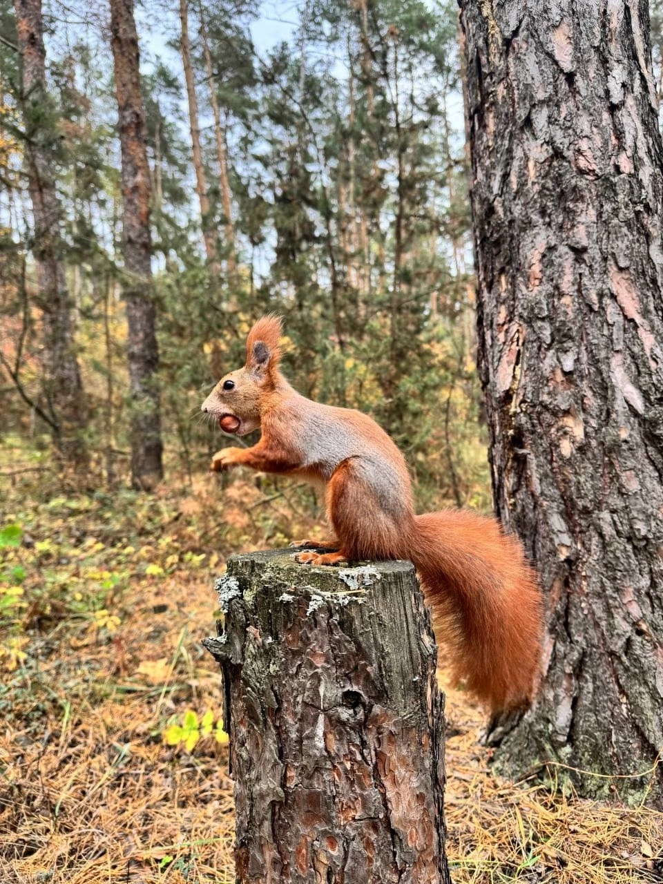 😍Красотки из Пикник Парка