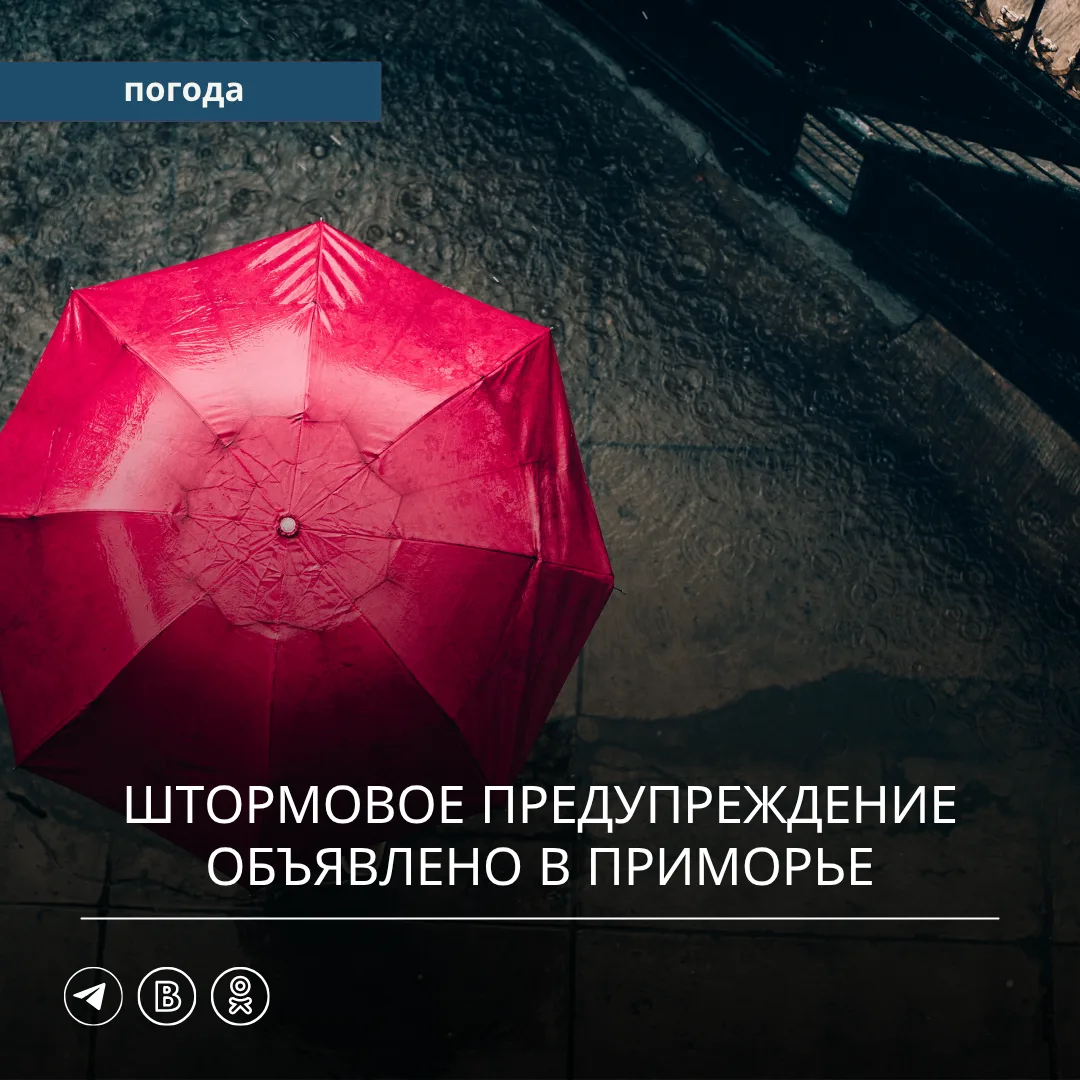 ⚠️ Штормовое предупреждение объявлено в Приморье