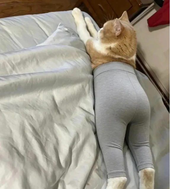 - Бабушка приехала... )