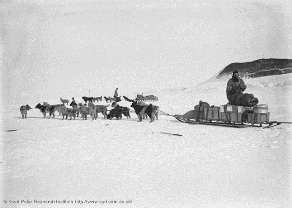 24 октября 1911 года к полюсу вышла группа на моторных санях, 1 ноября вышла группа Р. ...