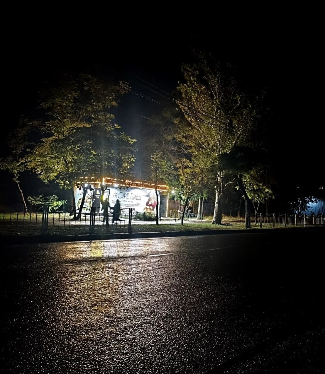В оковы ночи 🌙