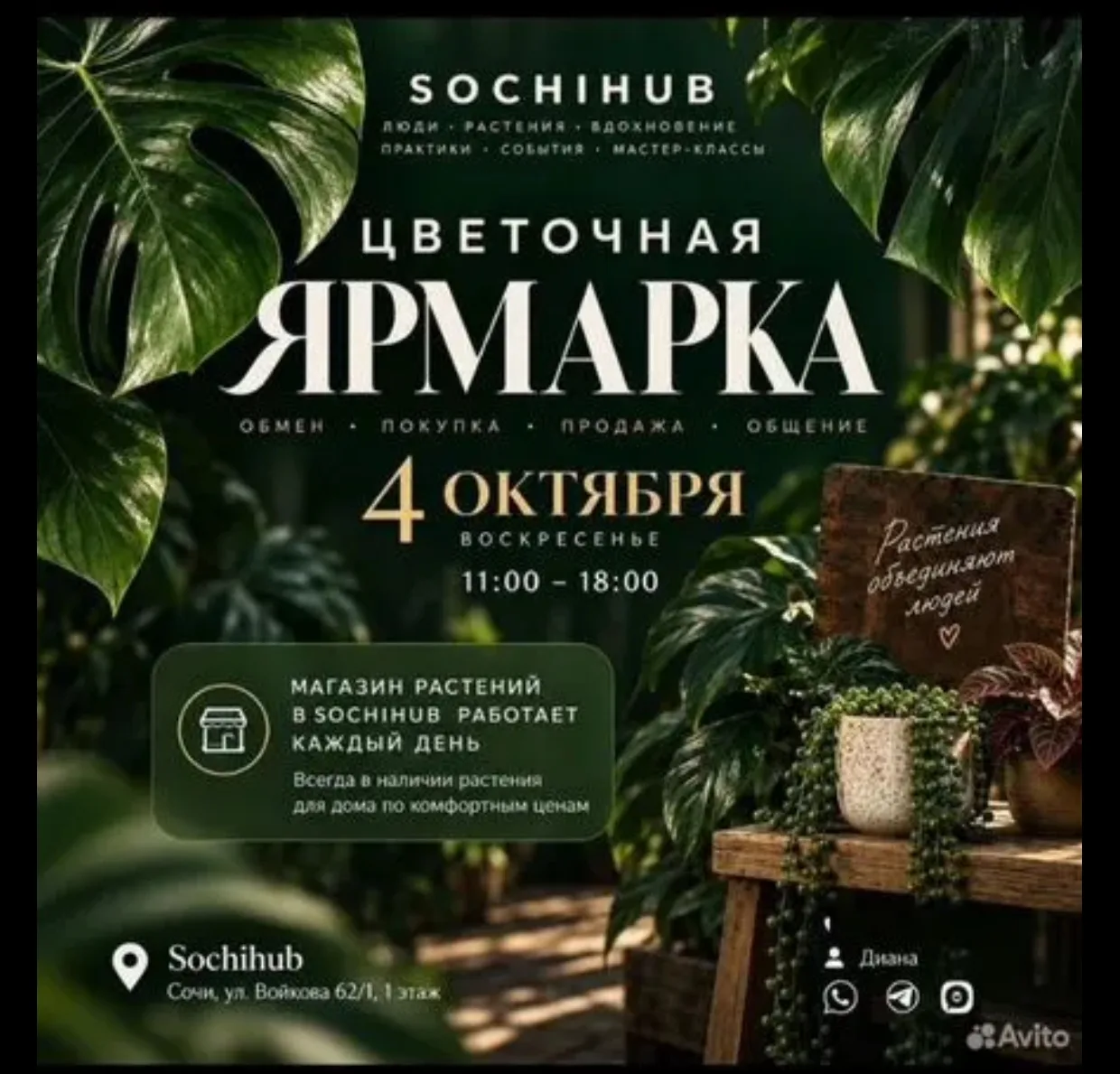 Если вы любите цветочки, так, как люблю их я, тогда айда все на выставку. Думаю мы там ...