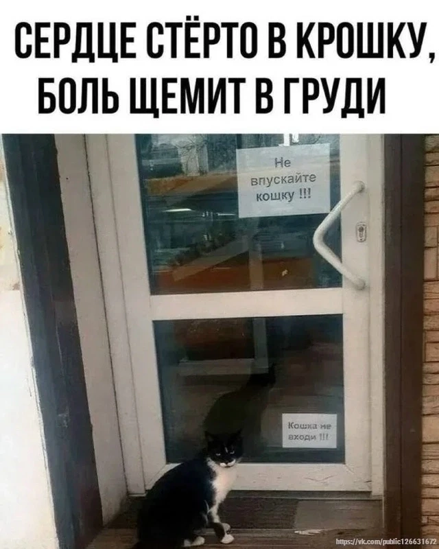 Минутка юмора 🤣🤣🤣