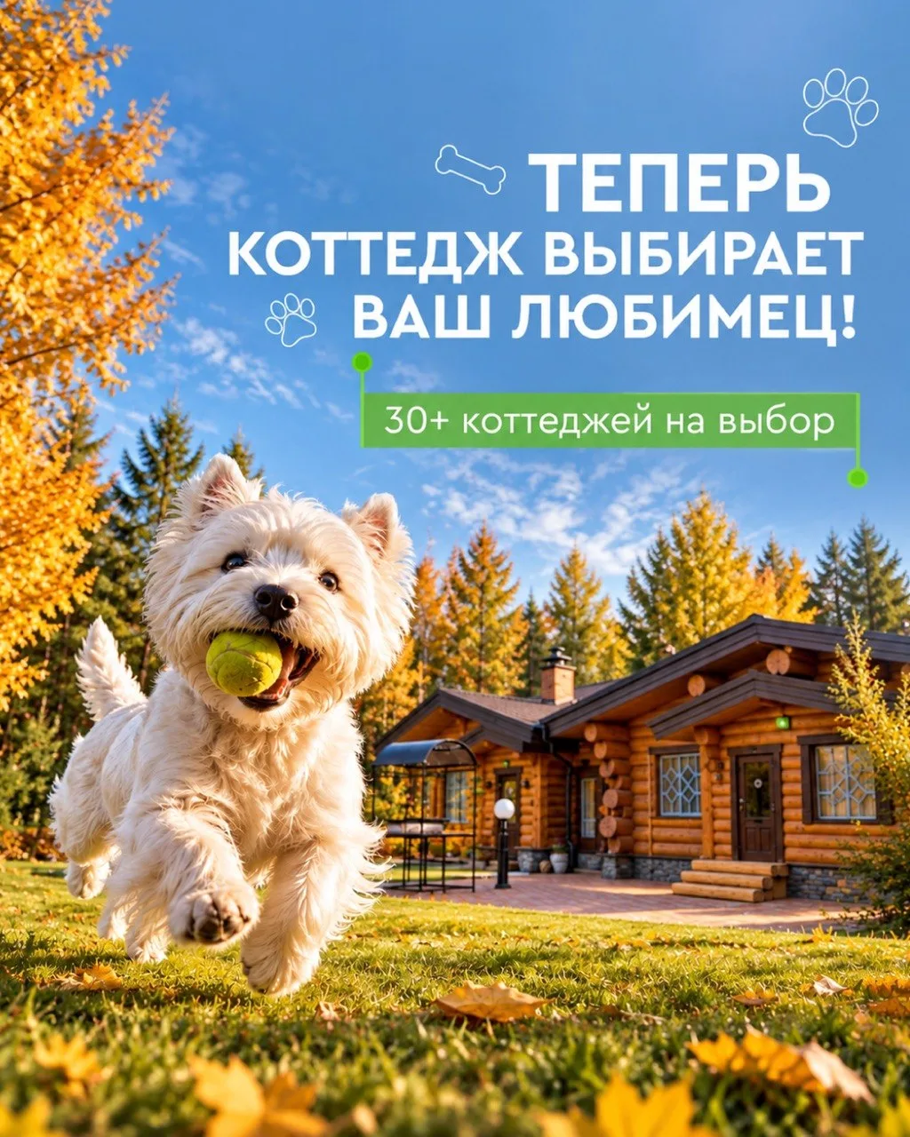Хотите взять питомца с собой на отдых? 🐶