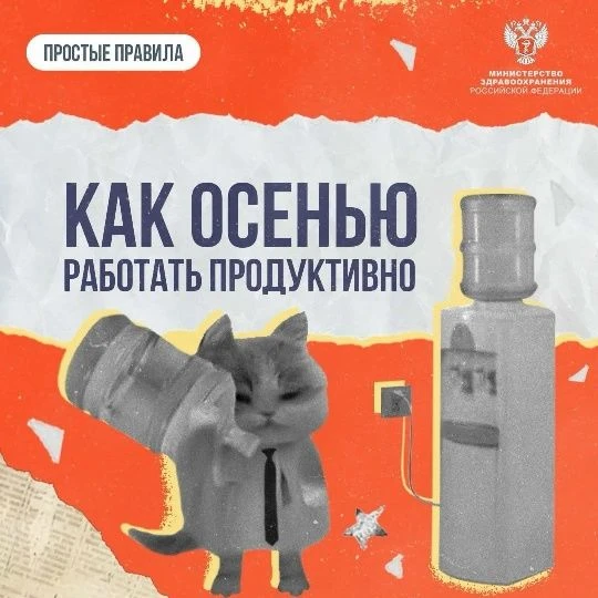 Как сохранить продуктивность своего труда осенью - в карточках Минздрава РФ ☝