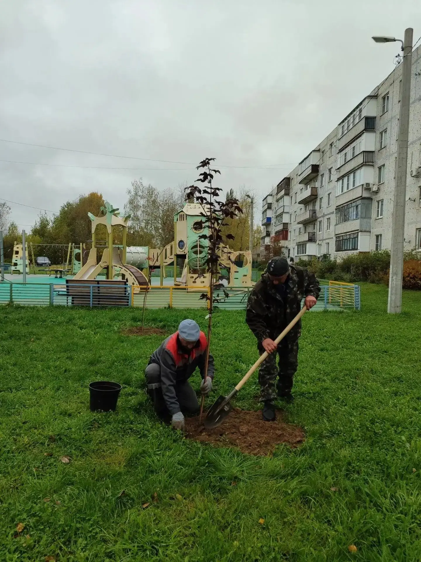 🍁 Новый зеленый уголок в поселке Авсюнино!                                 Сегодня сот...