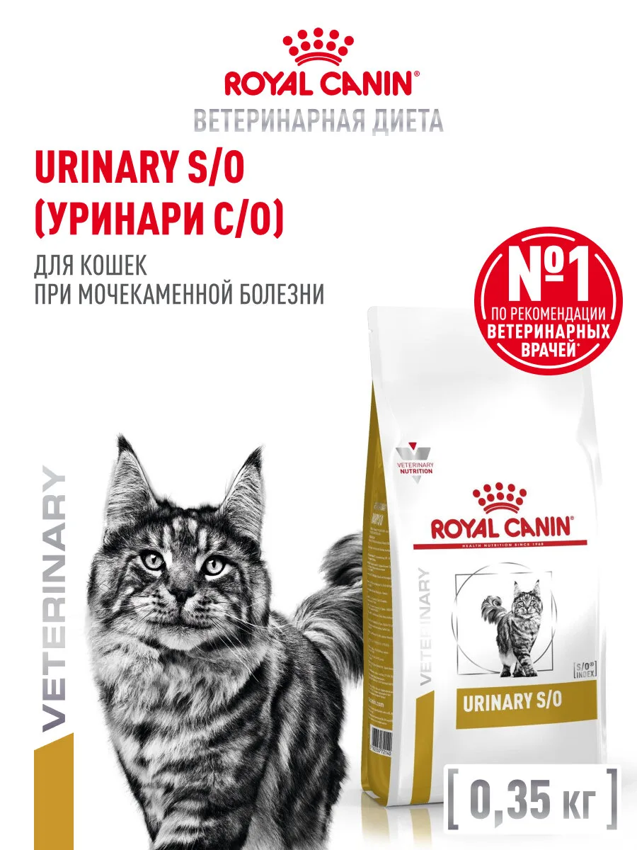 🔥 На это предложение стоит посмотреть