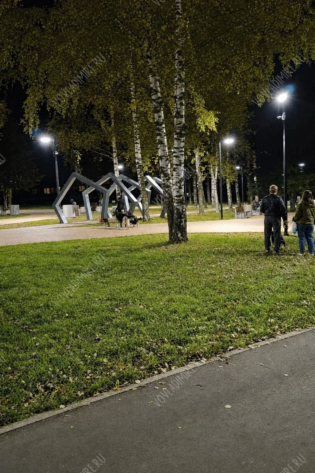 На бульваре Иванова, видимо, разрешили выгул собак официально. Теперь собаки без поводк...