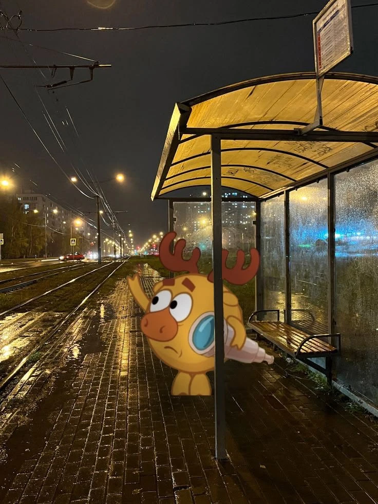 Жду свой автобус