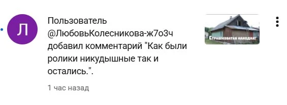 Кто бы мог подумать: оказывается, не все зрительницы любят ролики на нашем канале одина...
