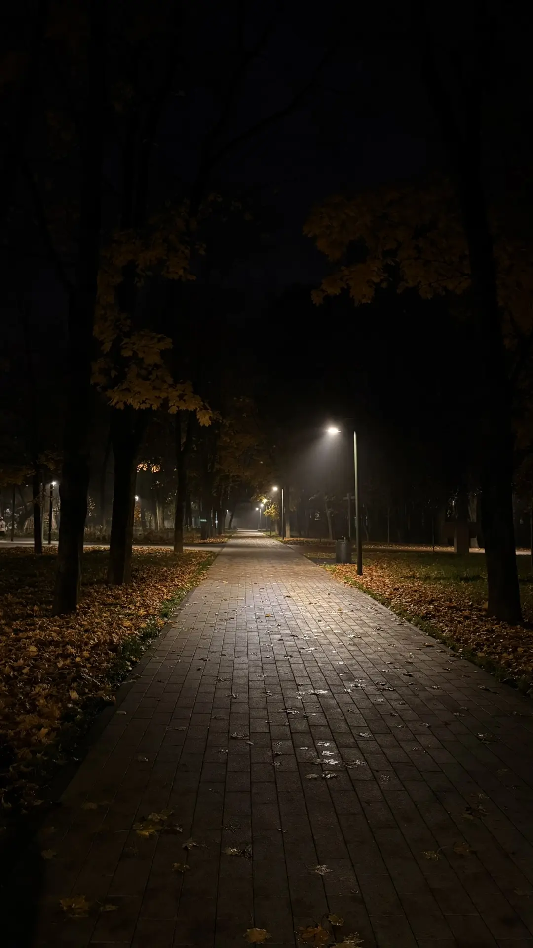 Ночной Щелковский парк🌙😴