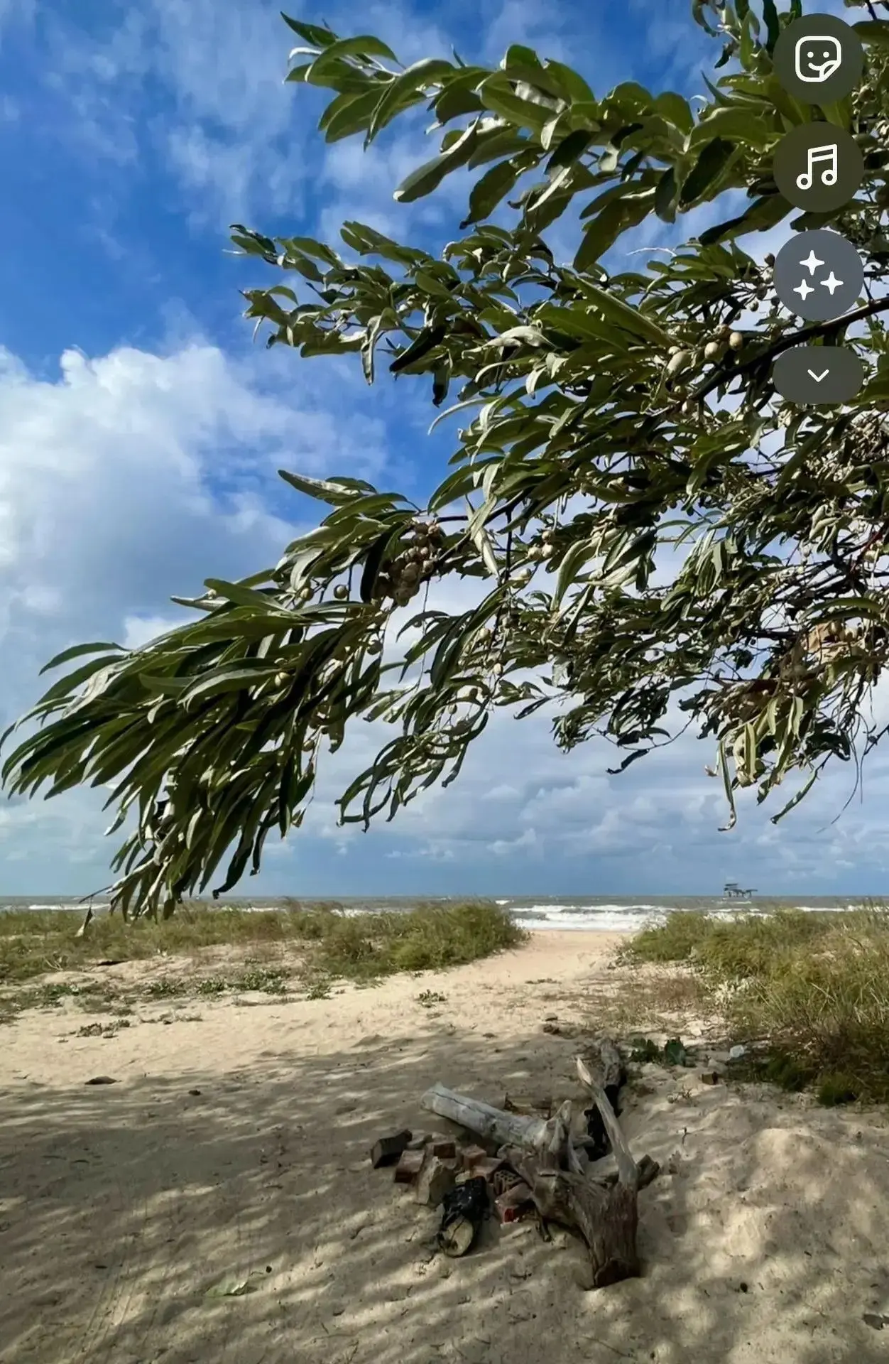 Эх... 60 шагов до кромки моря от крылечка - мечта? 🏖️☀️