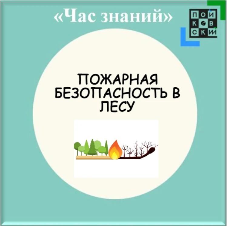 Уважаемые пойковчане, ознакомьтесь с памятками.