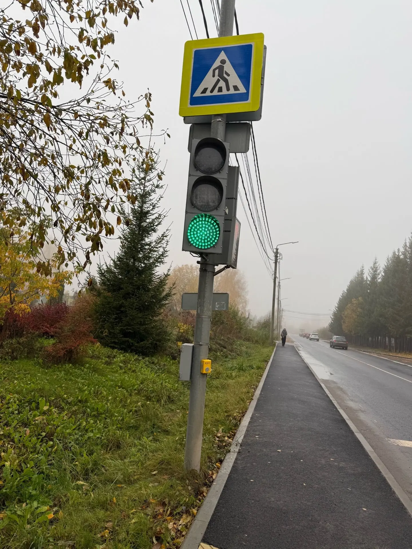 "Доброго времени суток. Ещё весной напротив детского дома слепоглухих заменили кнопку с...