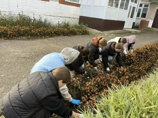 🍁 Волонтёры привели в порядок территорию у школы