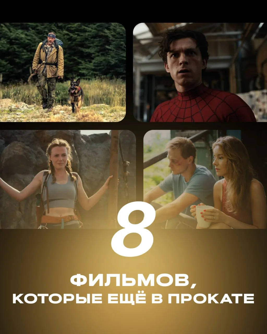Ещё в прокате 🎬