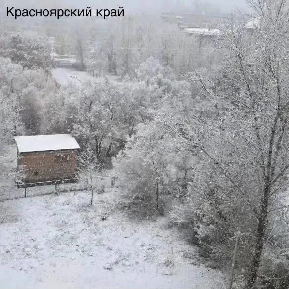 Зима в октябре накрыла Новосибирск, Красноярский край и Бурятию.