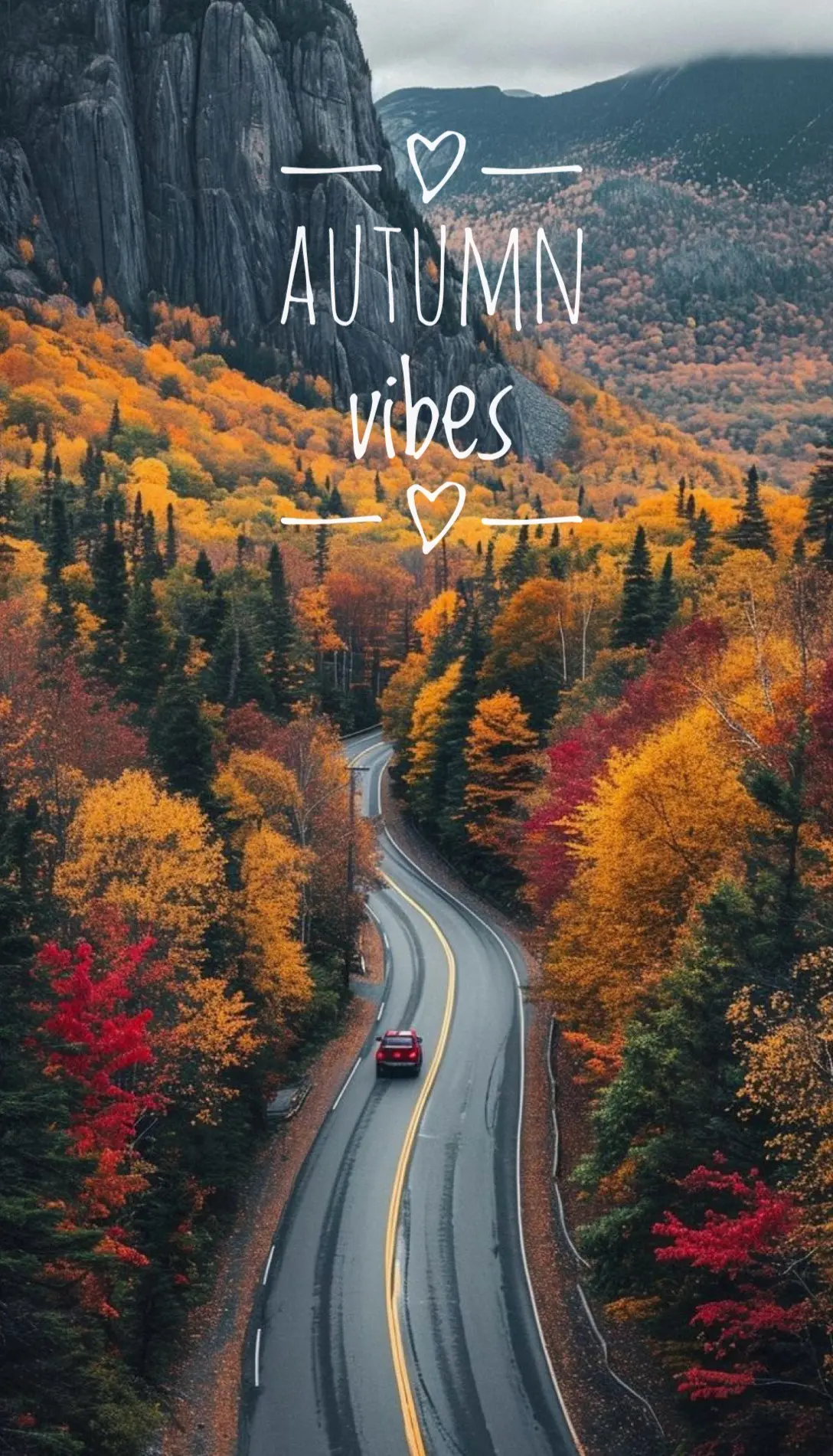 💛🤎🧡ОСЕННЯЯ АТМОСФЕРА🩵🤎❤️AUTUMN VIBES