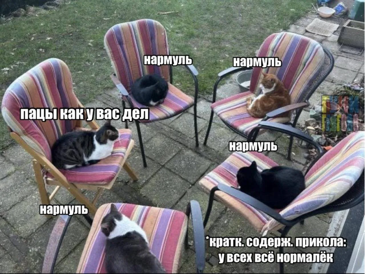 Однажды (на самом деле, конечно, каждый день, но тот случай особенный) мне срочно потре...