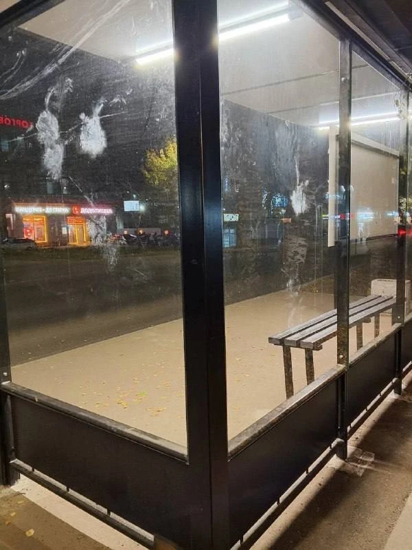 😨 Остановка в Нововятске стала смертельной для птиц