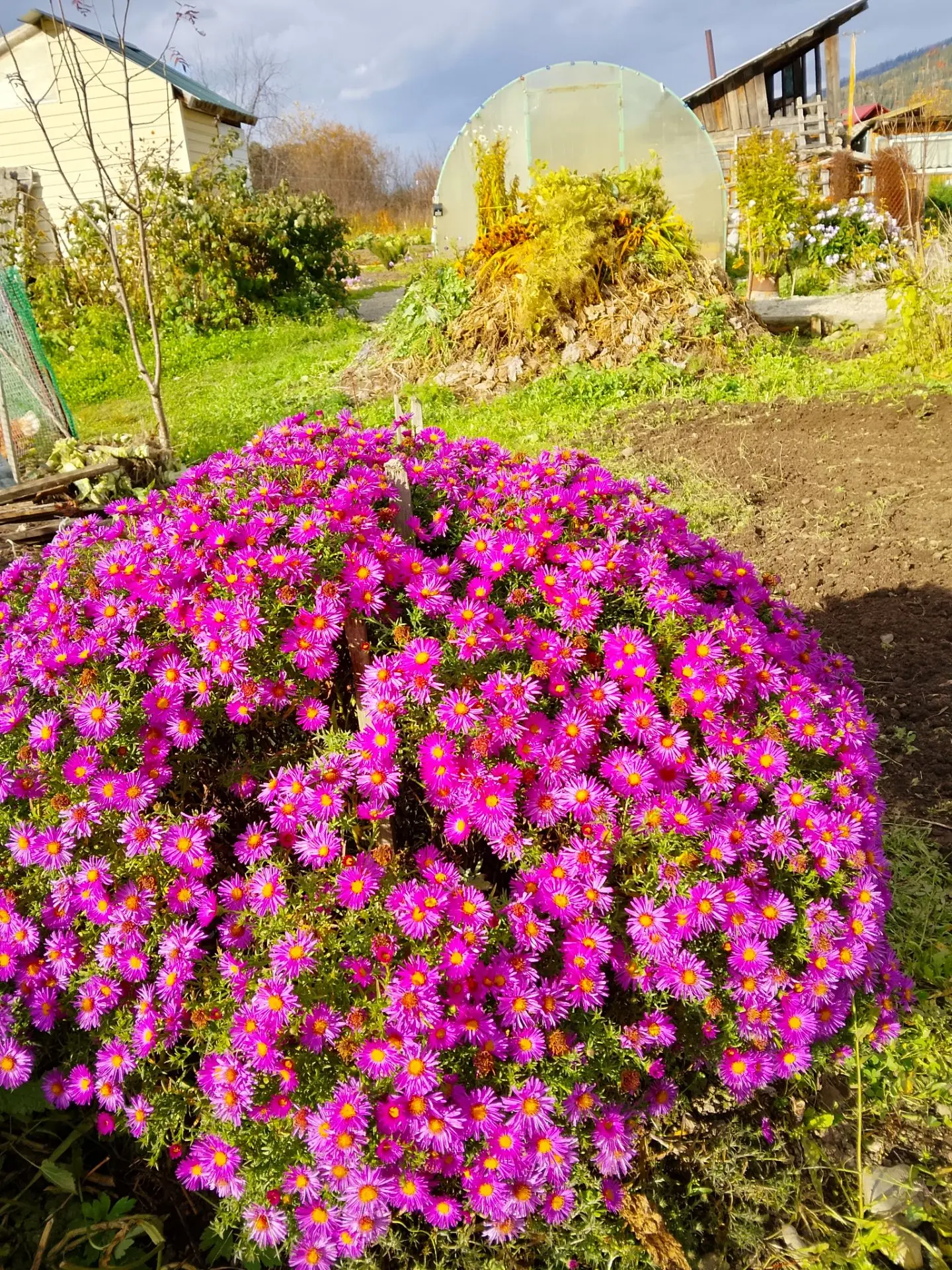 Свой план на сегодня выполнила...